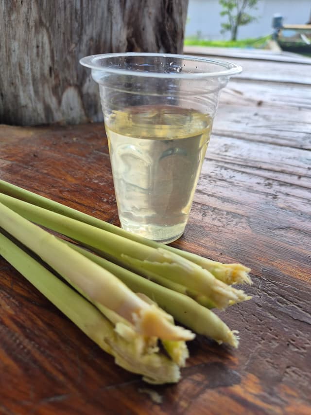 Citronella Oil